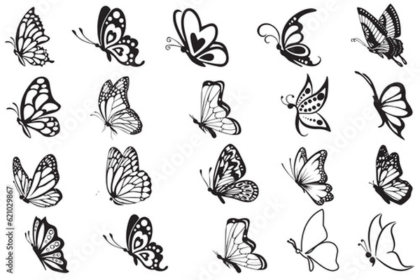 Fototapeta Butterfly Side Black and White