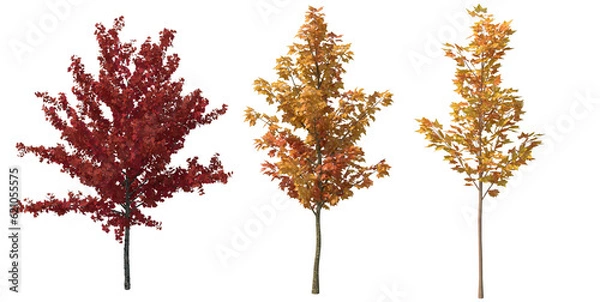 Fototapeta autumn trees set