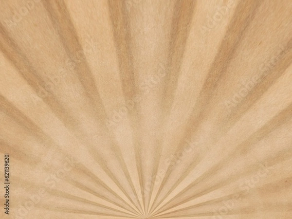 Fototapeta brown wood background. abstract wooden background.