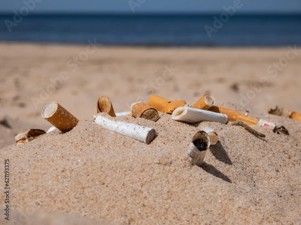 Fototapeta Cigarette butts in the white sand on Baltic sea beach as toxic plastic pollution in the beach sand. Most littered plastic item in the world. Beach pollution