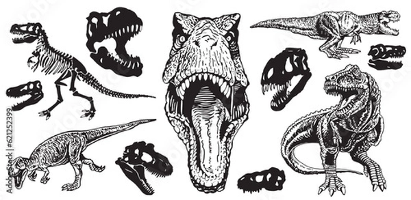 Obraz Graphical set of dinosaurs isolated on white background,vector tyrannosaurus,tattoo