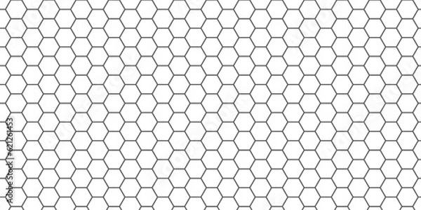 Fototapeta hexagon pattern. Seamless background. Abstract background with lines. white texture background. white and hexagon abstract background. white paper texture and futuristic .	
