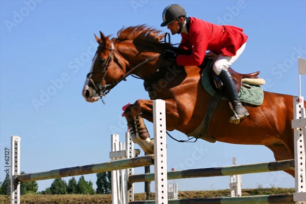 Obraz koń przeszkodowy