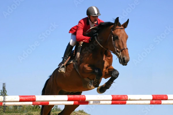 Obraz Skok Cheval