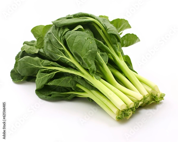 Obraz Chinese broccoli