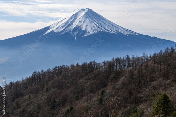 Obraz 三ツ峠山からみた富士山
