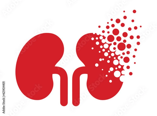 Obraz Dispersing kidney icon. Vector Illustrator.
