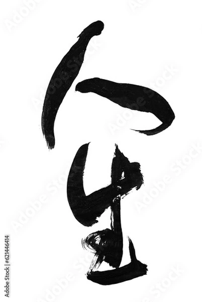 Obraz 筆文字「人生」