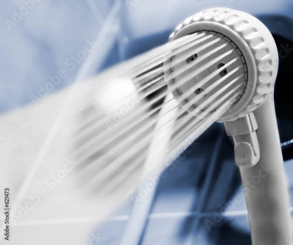 Obraz showerhead
