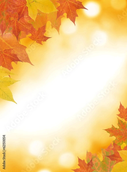 Obraz Autumn leaf background with room for copy space.