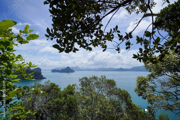 Fototapeta tree on island 
