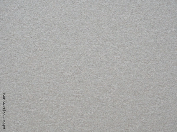 Obraz 和紙テクスチャ（白色）