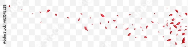 Obraz Beautiful Peach Beauty Vector Transparent