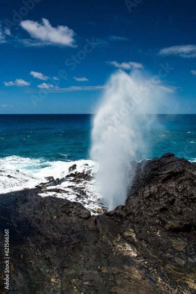 Obraz Halona hole blowing out water from the Pacific ocean