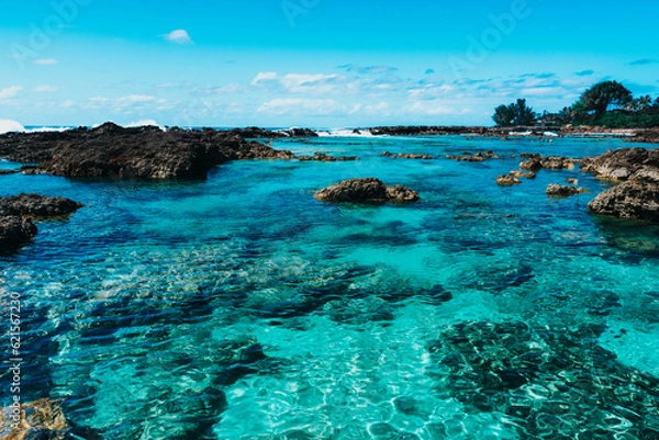 Obraz Blue water of a lagoon on Hawaii shore