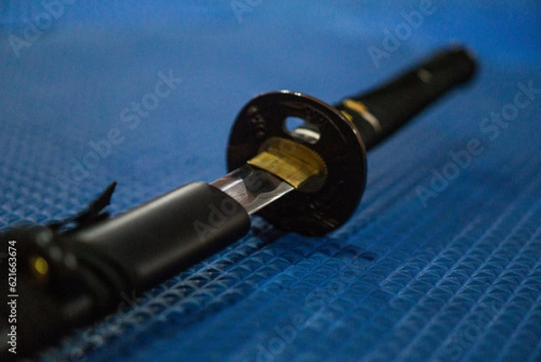 Fototapeta Espada envainada