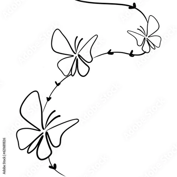 Fototapeta butterfly on a branch