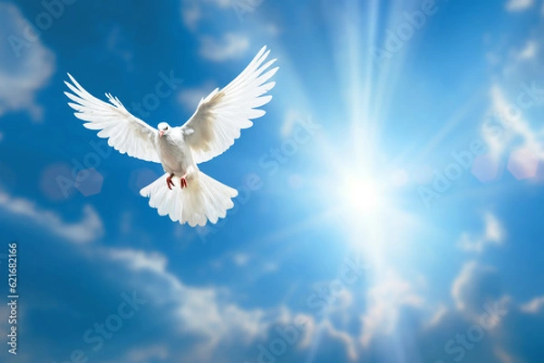 Obraz white dove flying on blue sky for freedom concept in clipping path,international day of peace ,Pray for Ukraine and No war concept