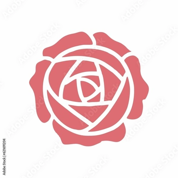 Fototapeta pink rose on white