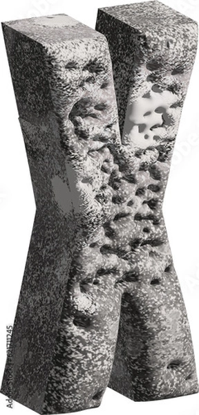 Fototapeta  3d stone letter X with a rough textured background png.