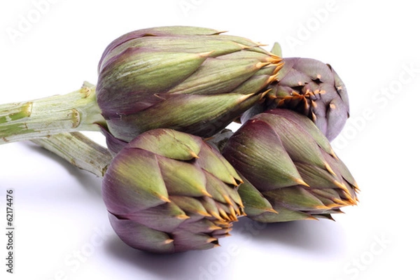 Obraz Raw spiny artichokes isolated on white background