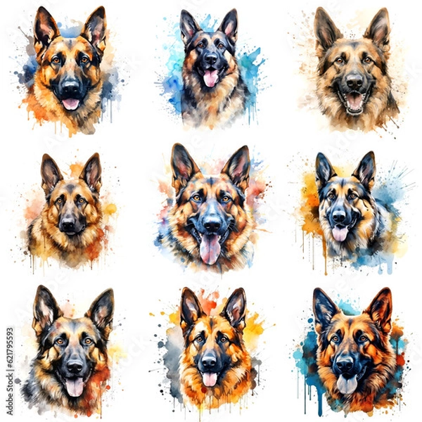 Fototapeta Zestaw psów hoduje owczarka niemieckiego malowanego w akwarelę na białym tle w realistyczny sposób. Idealny do nauczania materiałów, książek i projektów, pocztówek, plakatów.