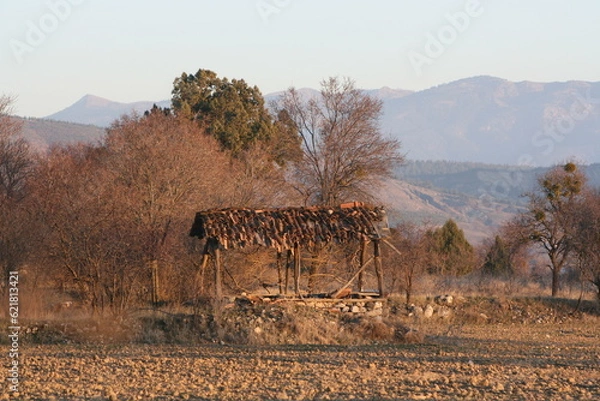 Obraz old building in a field