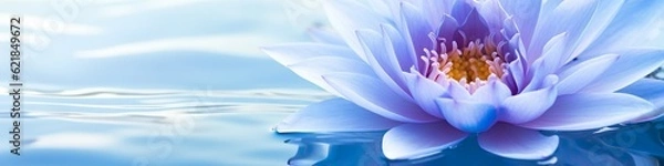 Obraz Purple Harmony: Macro Shot of Lotus Flower in Water