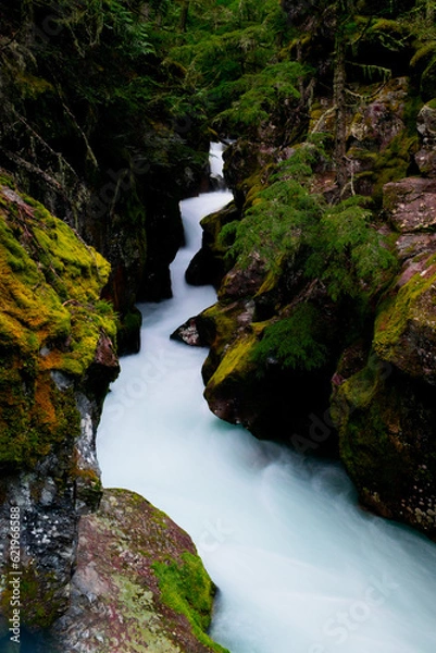 Obraz Avalanche Gorge, GNP