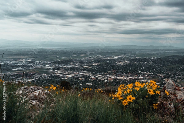 Obraz Atop Mount Helena