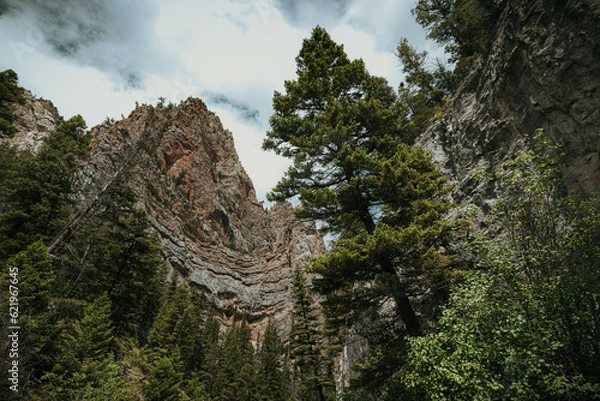 Obraz Mountain Trail