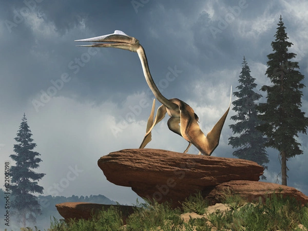 Fototapeta Quetzalcoatlus was the largest pterosaur, a type of flying reptile that lived during the Late Cretaceous period around 68-66 million years ago in what is now North America. 3D Rendering
