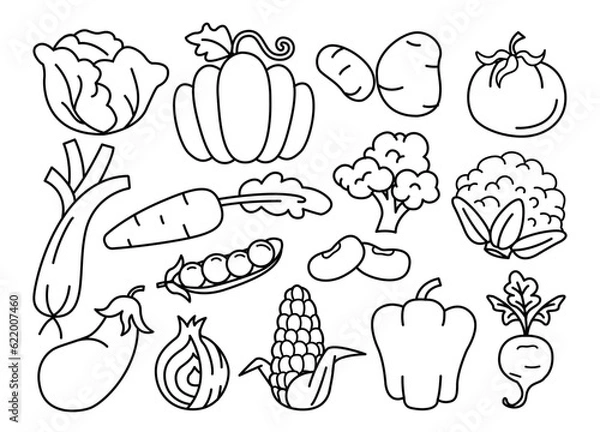 Fototapeta vector icons of vegetables, set of food line art of vegetables