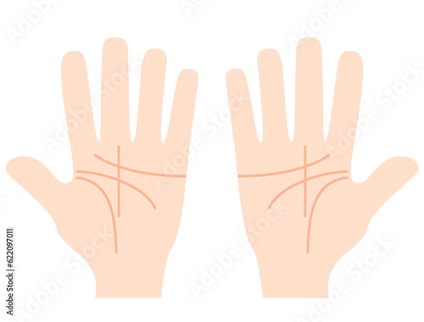 Fototapeta 手相や手のひらをイメージしたイラスト