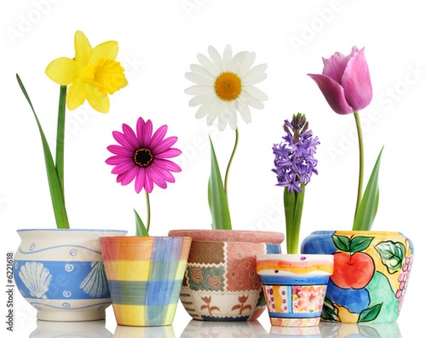 Obraz Kolorowe wiosenne kwiaty w zabawnych ceramicznych pojemnikach