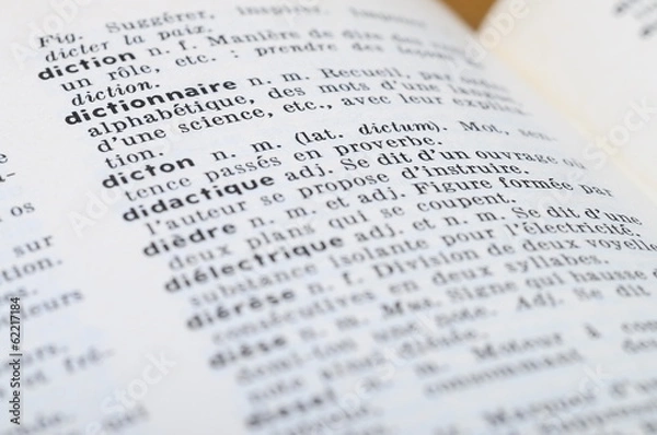 Fototapeta French Dictionary at the word Dictonary