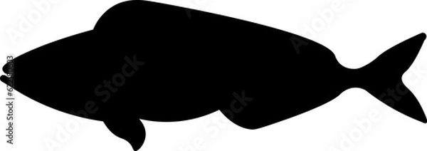 Obraz Aquatic Fish Silhouette Illustration Vector