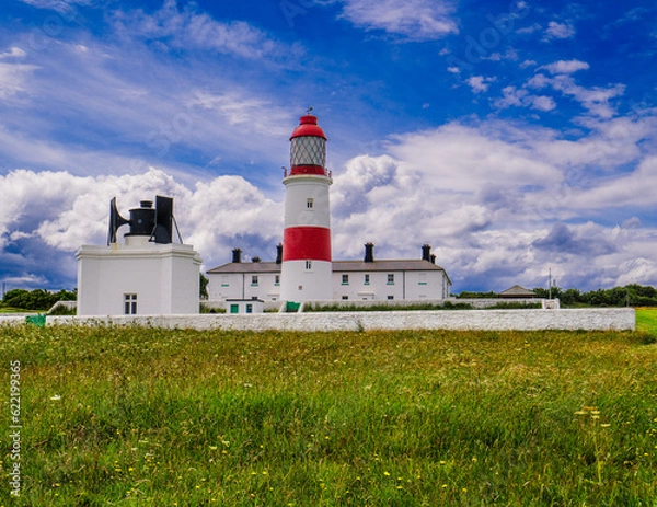 Fototapeta Sunlit Souter Lighthouse behind an expanse of wildflowers on the clifftops. - Whitburn, Sunderland