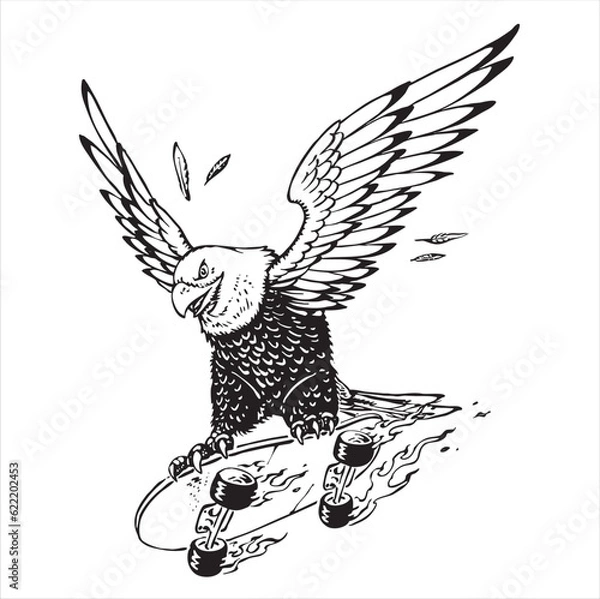 Obraz eagle bird skateboard