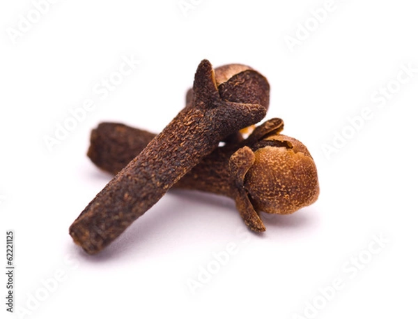 Fototapeta Cloves Macro