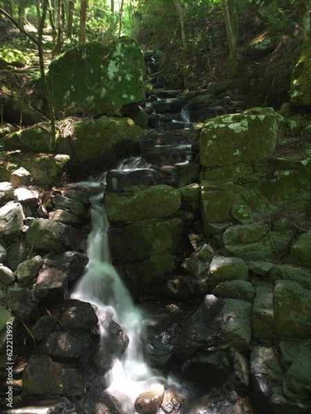 Obraz 小さな渓谷を流れる清流
