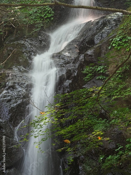 Obraz 小さな渓谷を流れる清流の滝
