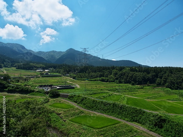 Obraz 青空の下に広がる山間部の棚田

