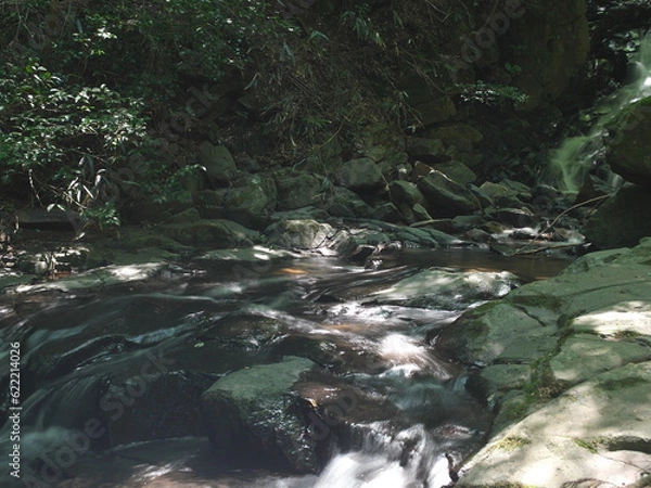 Obraz 小さな渓谷を流れる清流
