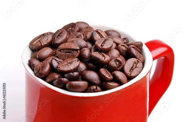 Obraz Isolated Coffee Bean