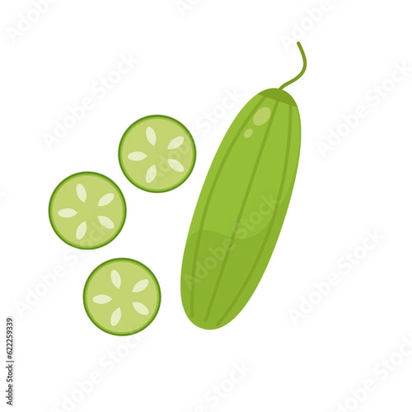 Obraz cucumber  illustration with slice .