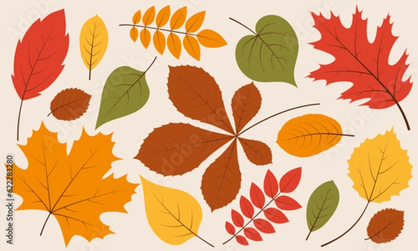 Obraz Autumn leaves set