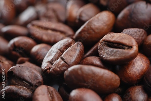 Obraz Close Up Coffee Bean