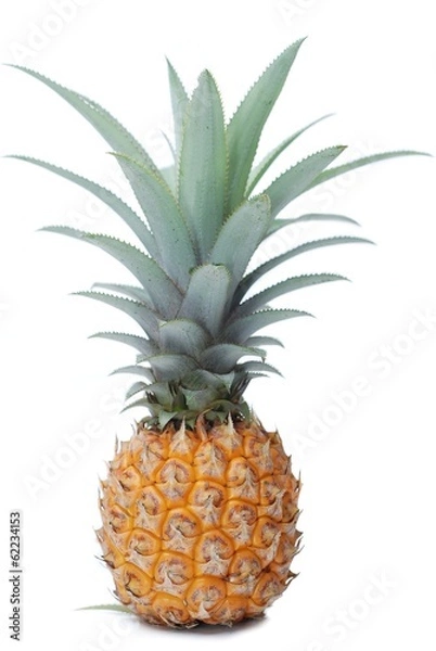 Fototapeta Pineapple