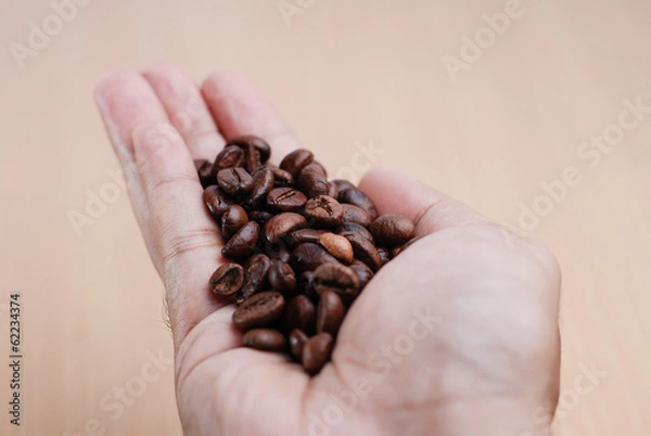 Obraz Hand Hold The Coffee Bean